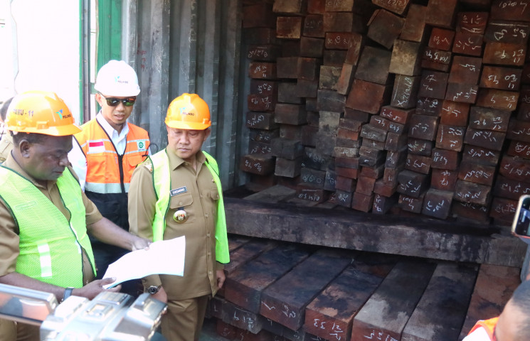 Pemprov Tahan 69 Kontainer Kayu Ilegal di Pelabuhan Jayapura